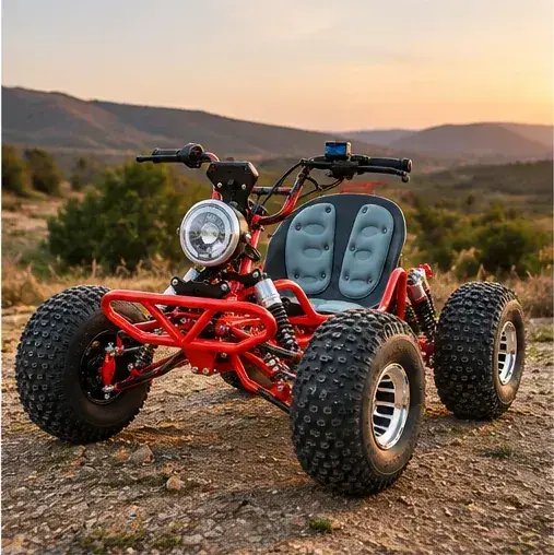 3000W Electric Off-Road Go Kart